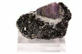 Corundum (Sapphire) Crystal in Mica Schist Matrix - Norway #94436-1